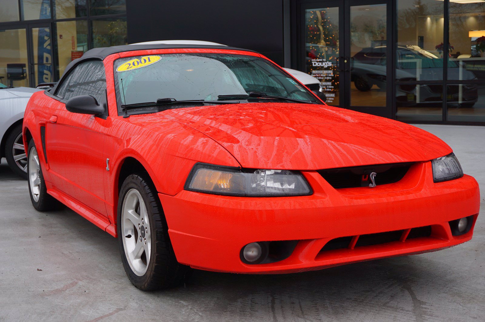 Pre Owned 2001 Ford Mustang Svt Cobra Convertible 6070