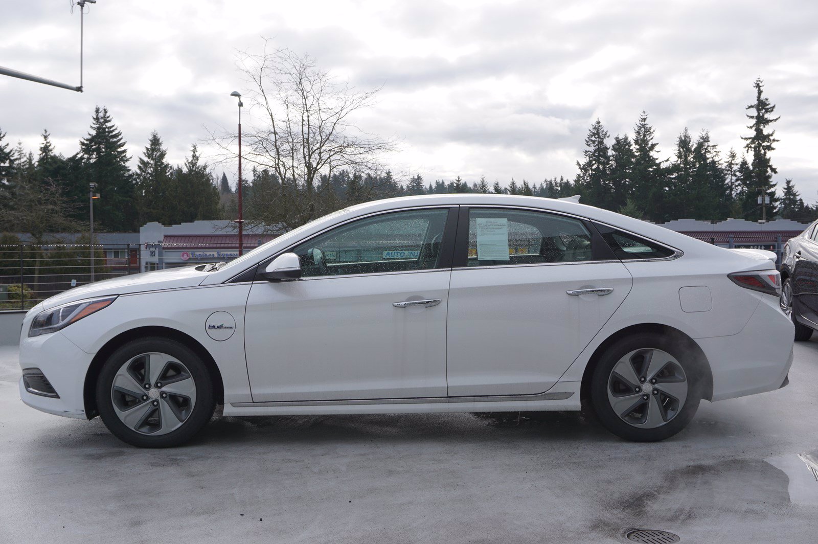 hyundai plug in hybrid